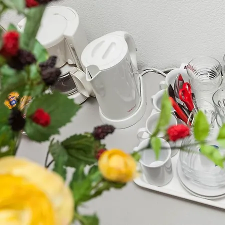 Accommodatie bij particulieren Dutch House